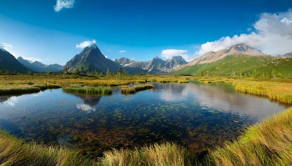 Est-il possible de louer une maison de vacances en Provence avec des ateliers de céramique et des visites de musées?